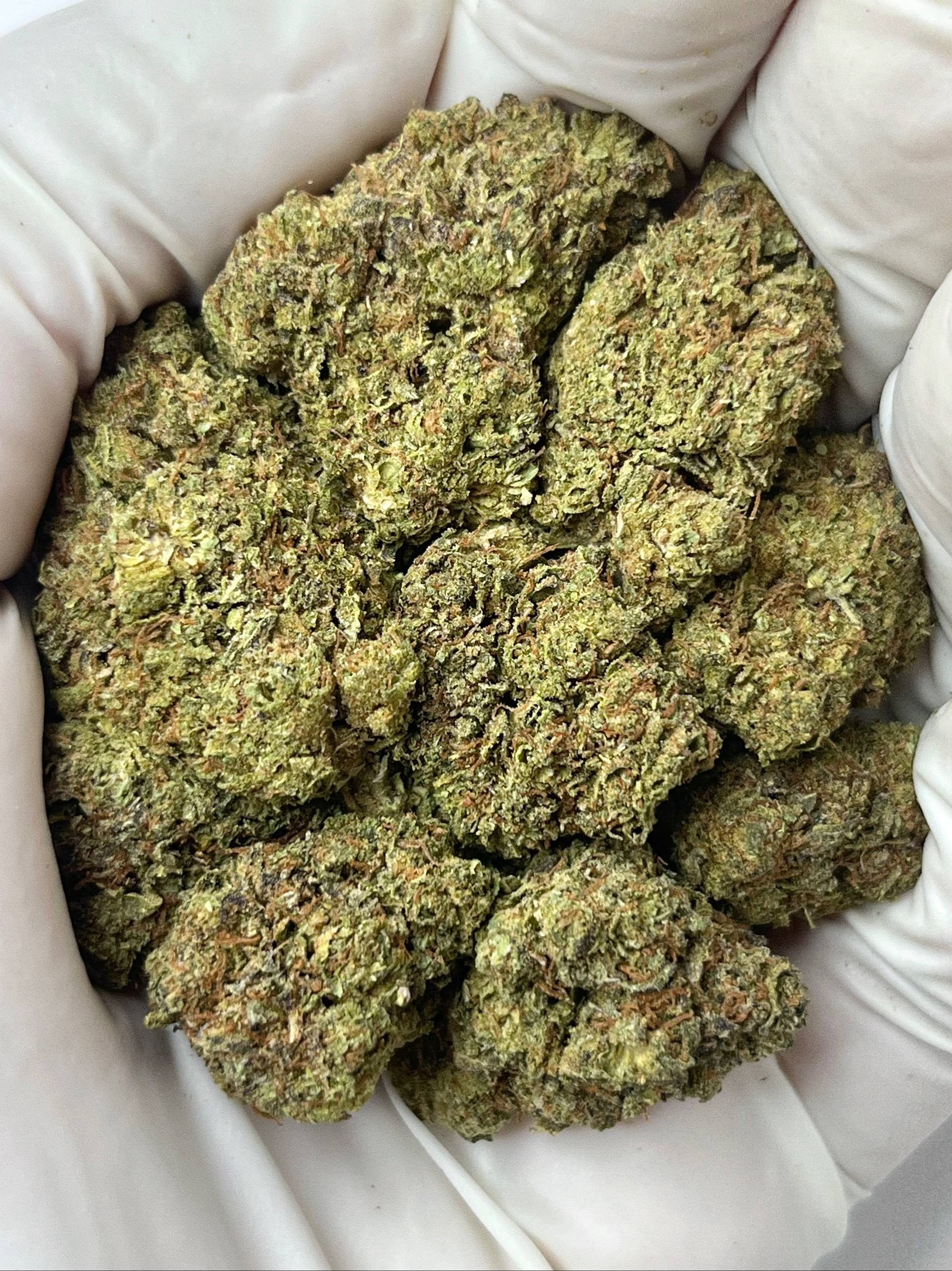 ZaZa Runtz Big [HE_11N1]